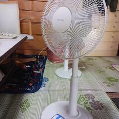 家電 季節、空調家電 扇風機の画像