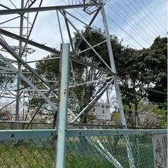 本日！花見川千本桜緑地にて - 八千代市