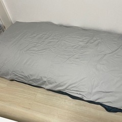  Yogibo Zoola Max（ヨギボー ズーラ マックス）＋専用カバーの画像
