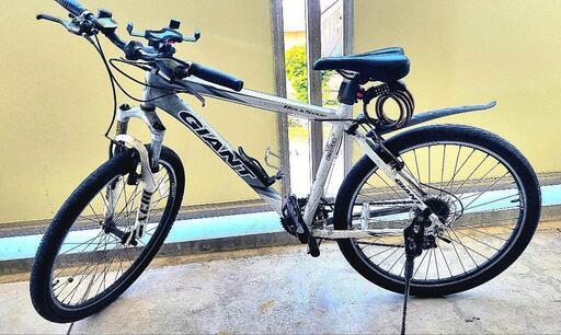 (30,000円 )Giant ジャイアント Defy 4 XS ワイト 30,000円 )Giant ジャイアント Defy 4 XS ワイト 30,000円 様専用