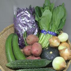 野菜　無人販売🥬🥕🥒 トウモロコシは無料😊