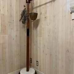 シロダーラの中古が安い！激安で譲ります・無料であげます
