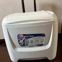 igloo イグロー　クーラーボックスの画像
