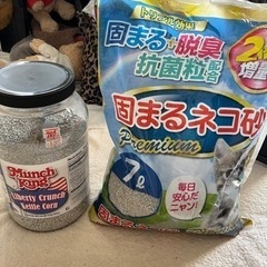 ネコ砂