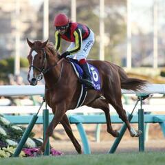 競馬サークルメンバー募集してます🙇。競馬場やウインズエクセルシー...