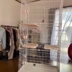 大型のキャットゲージ