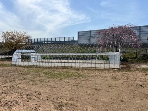 ビニールハウス