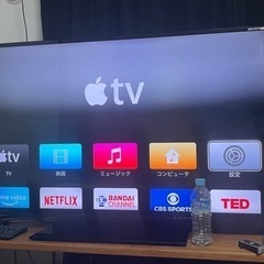 家電 テレビ 液晶テレビ
