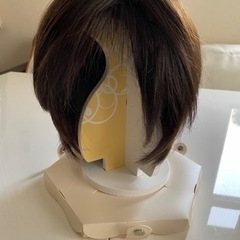 ウィッグ