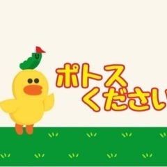 ポトス