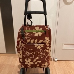 保冷バッグ付きキャリーバッグ キャリーカートの画像