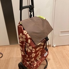 保冷バッグ付きキャリーバッグ キャリーカートの画像
