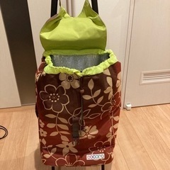 保冷バッグ付きキャリーバッグ キャリーカートの画像