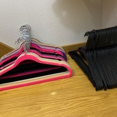 生活雑貨 洗濯用品 ハンガー