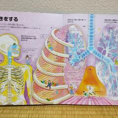 どうなってるの?からだのなか―めくって楽しい57のしかけ (人体×しかけ×図鑑【3歳・4歳・5歳児の絵本】)
の画像