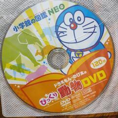 DVD付図鑑  動物 (小学館の図鑑 NEO)の画像