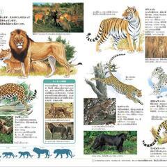 DVD付図鑑  動物 (小学館の図鑑 NEO)の画像