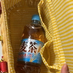 かごバッグ トランク風 赤 ハードの画像