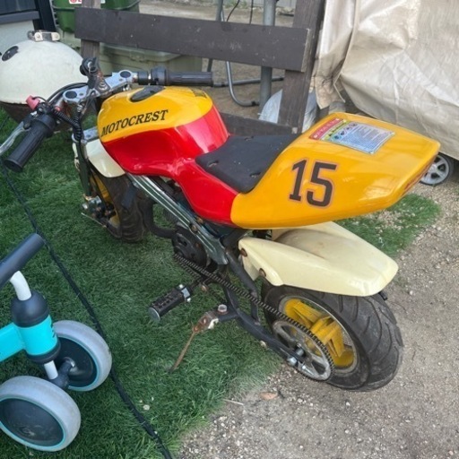 （決まりました‼️）実働 ポケバイ キッズ