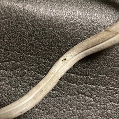 tーfal湯沸かしポット中古　木製の椅子と一緒で無料の画像