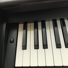 楽器 鍵盤楽器、ピアノの画像