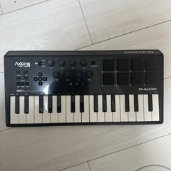 【決まりました】楽器 アンプの画像