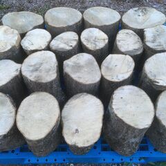 ②‐太目【プラス500円でご希望の太さに割ります!!】 　　　　直15～23㎝の広葉樹を110㎝四方のパレットに乗せてあります。　　太さにもよりますが良く天日で乾燥させれば冬には薪として使えます。の画像