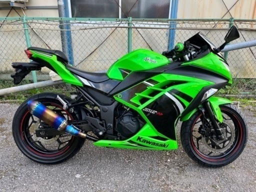 ニンジャ250L スペシャルエディション　美車