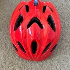 スポーツ 野球