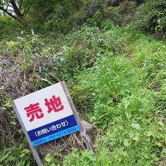 10万坪ー青島、子供の国近くの山林 − 宮崎県
