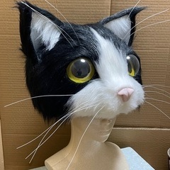 何かやられてる方、やりたい方、交流会参加者募集❗️