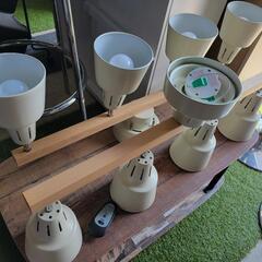 ライト✨の画像