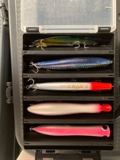 シーバス　　オフショア　ルアー