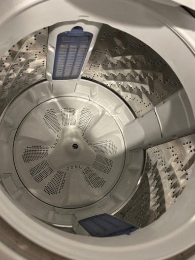 家電 生活家電 洗濯機