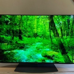 SHARP AQUOS 有機ELテレビ 48V 4T-C48CQ1 2021年製 楽天市場】シャープ 4t-c48cq1（画面サイズ（テレビ）45 ～ 49型