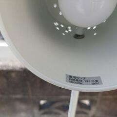 ニトリ フロアランプ(スプラウト10192C-WH)の画像