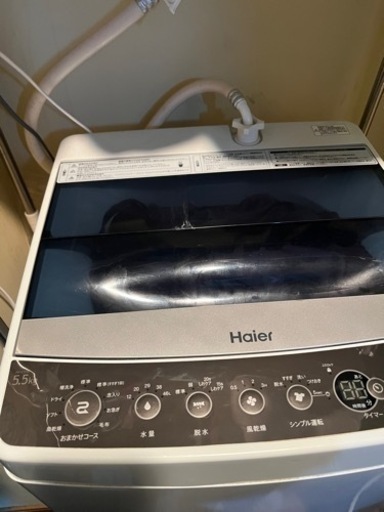 家電 生活家電 洗濯機
