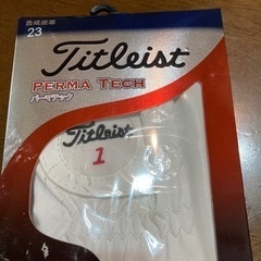 【商談成立👍】ゴルフ　グローブ2個とボール1スリーブの画像