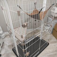猫 2段ゲージ 木製 ホワイト ペッツファーストの画像