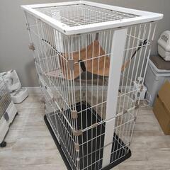 猫 2段ゲージ 木製 ホワイト ペッツファーストの画像