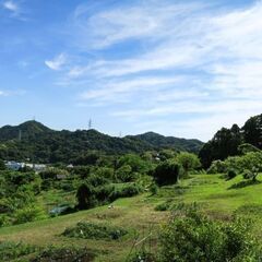 完全無農薬の畑作りを体験してみたい方