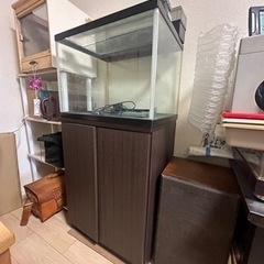 60×45×45水槽、水槽台、濾過装置、LEDライト付き