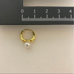 服/ファッション アクセサリー イヤリングの画像