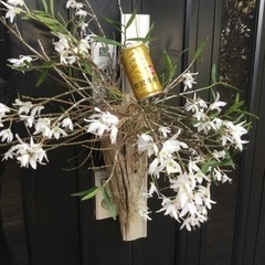 セッコク①の画像