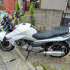 バイク スズキ、250