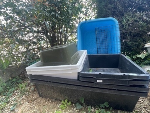 受渡先決定⭐︎
中古めだか飼育容器