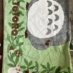 TOTOROの敷物カーペットの画像