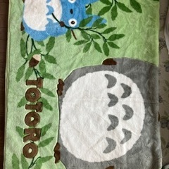 TOTOROの敷物カーペットの画像