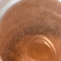 ゾウリムシの画像
