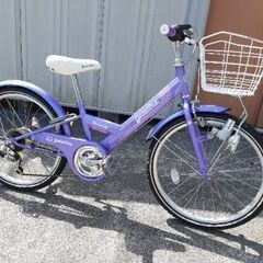 自転車　22 女の子の画像